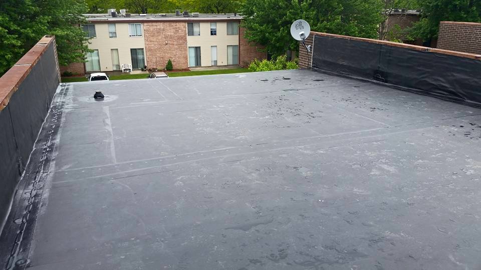 11393246_474585839358055_1356230989838496497_n